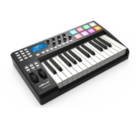 Harga Grosir/OEM/Pabrik PANDA25 PANDAMINIc MIDI Controller Plastik Synthesizer Aksesoris Instrumen Musik 330x200x50mm