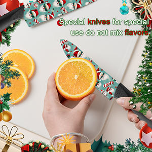 Couteau de chef compact en stock, lame en céramique personnalisée, manche en plastique, pour usage en cuisine, vente chaude, fait main, commercial, livraison rapide - Product Image 5