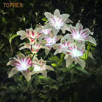 Décorations extérieures LED de fleurs de lys Lumières de jardin pour les fêtes de mariage Pâques Noël Saint Valentin Affichage décoratif