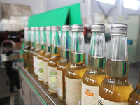 Remplisseur de bouteilles à contre-pression pour boissons gazeuses Machine à bière isobare automatique