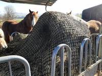 Équipement d'alimentation directe pour chevaux toute la journée, filet à foin, sac à foin pour chevaux avec logo personnalisé