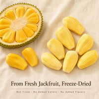 Trozos de Jaca Liofilizados OEM a Granel, Snack Saludable con Tecnología FD, Fruta Tropical, Fabricante Mayorista, Exportación