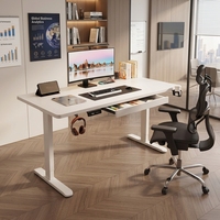 Escritorio Eléctrico Ajustable en Altura con Doble Motor OEM1600*700MM, Escritorio Inteligente para Computadora, Escritorio para Juegos, Escritorio de Oficina, Escritorio para Escribir