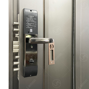 Porte <span class=keywords><strong>d</strong></span>'entrée blindée moderne en acier inoxydable antivol 36x80 – Vente directe usine en gros - Product Image 5