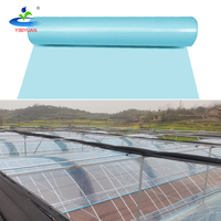 Film plastique de serre en polycarbonate pour culture hydroponique Tunnel agricole résistant aux UV de 200 microns pour culture hydroponique
