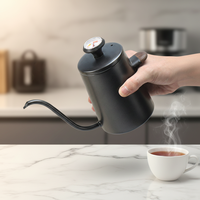 Bouilloire à café à Double paroi en acier inoxydable avec thermomètre, à col de cygne, 350ml