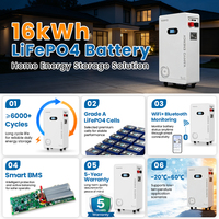 Batterie au lithium VANYO 51,2 V 314 Ah, cellules de qualité A+, 16 kWh, Powerwall, sortie stable, système solaire hors réseau