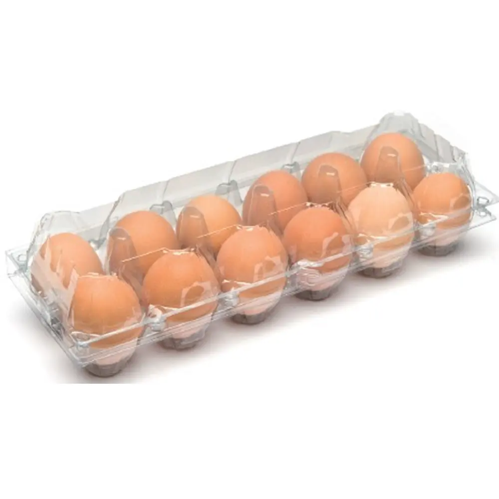 Hi-Efficient Egg Tray Making Machine Multi-Station Automatic Plastic Thermoforming Machines