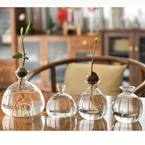 Tondo <span class=keywords><strong>in</strong></span> vetro trasparente da tavolo <span class=keywords><strong>di</strong></span> Avocado seme <span class=keywords><strong>di</strong></span> avviamento piantatrice idroponica pianta decorazione per la casa <span class=keywords><strong>vaso</strong></span> <span class=keywords><strong>di</strong></span> propagazione <span class=keywords><strong>vaso</strong></span> per la casa - Product Image 2