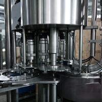 Chaîne de production rotative complète pour petites entreprises : Machine de remplissage de boissons 3-en-1 pour bouteilles PET de 200 ml avec moteur