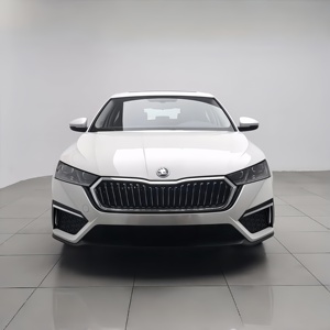<span class=keywords><strong>Skoda</strong></span> <span class=keywords><strong>Octavia</strong></span> d'occasion / <span class=keywords><strong>Skoda</strong></span> <span class=keywords><strong>Octavia</strong></span> PRO <span class=keywords><strong>2021</strong></span> / Voitures d'occasion en stock, vente en gros et au détail disponibles - Product Image 1