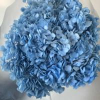 2026 Bunga Hydrangea Kering Paling Populer untuk Dekorasi Rumah Harga Pabrik Tahan Lama 3-5 Tahun Hari Ibu & Hari Valentine