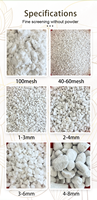 Perlite expansée utilisée comme matériau d'isolation pour la construction, l'horticulture et la culture des fleurs. Les particules de perlite sont sans poussière.