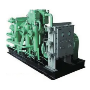 Powerful Durable Efficient Special Gas Compressor for Methane