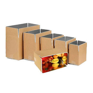 Hộp cách nhiệt thực phẩm đông lạnh Nhiệt Lót hộp với nước đá cho lạnh chuỗi - Product Image 6