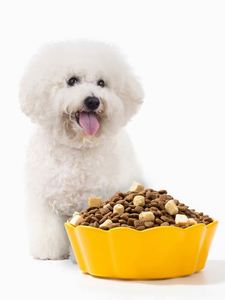 Alimento orgánico para perros salvajes, comida seca para mascotas, venta al por mayor, barato - Product Image 5