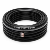 Câble d'alimentation blindé en cuivre XLPE YJV22 2*95mm² 2*120mm² 0,6/1kV avec gaine en PVC blindée à bande d'acier pour connexion de transformateur