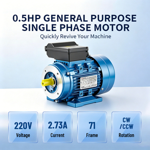 Motor de Alto Torque de 0.55KW Monofásico con Condensador y Carcasa de Aluminio de Fábrica, Fabricantes de Motores de Corriente Alterna - Product Image 1