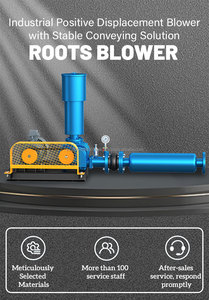 China Roots Air <b>Blower</b> High Pressure Cast Iron Low Noise 220V AC Industrial Use OEM Customizable Three Leaf Fish Pond - Product Image 5