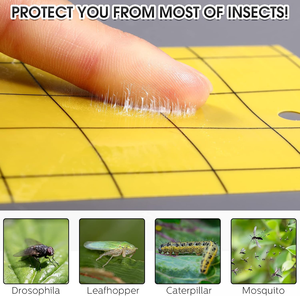 100 cái bẫy dính cho nhà máy hai mặt bẫy dính cho gnats với quan hệ Xoắn bẫy bay cho trái cây côn trùng nấm lỗi - Product Image 3