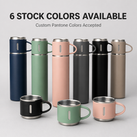 Botella de Agua de Acero Inoxidable en Stock, Juego de Tazas de Viaje, Paquete de Regalo, Termo de Doble Pared con Aislamiento Térmico, 3 Tapas, Antiderrames