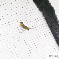 Filet de protection robuste en PP stabilisé anti-UV noir à mailles carrées KEEP BIRDS pour étangs, protection des fruits et légumes, service de découpe