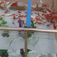 Petite aquarium de bureau entièrement en acrylique pour poissons bêta et mini plantes aquatiques