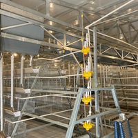 Projet d'élevage pour 30 000 poulets reproducteurs, avec des cages galvanisées multicouches de type H et des systèmes d'alimentation automatiques.