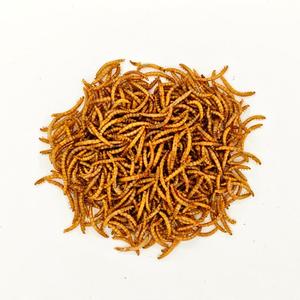 Emballage personnalisé 100g 200g 500g Vers de farine séchés sans additifs, riches en protéines - Product Image 1