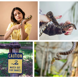 Acoplamiento Rápido, Mini Barra Telescópica, Recuperador de Cuerdas para Escalar Árboles, Acero Inoxidable, Longitud Personalizada para Capturar Moluscos - Product Image 6