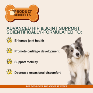 Suplemento OEM para Mascotas para la Salud de Cadera y Articulaciones en Perros con Glucosamina, Condroitina y MSM, Cúrcuma Orgánica y Mejillón de Labio Verde - Product Image 6