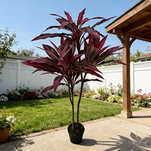 ต้นไม้จำลองสองสี จูเจียว ต้นไม้เหลือบเลือดมังกร ต้นไม้เหล็กสีเขียว สำหรับตกแต่งฉากโรงแรม ตกแต่งคริสต์มาส ตกแต่งงานรับปริญญา - Product Image 4