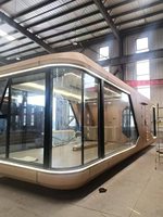 Maison Capsule Modulaire Préfabriquée de Luxe en Acier, 2-3 Chambres, Mobile, Jaune, avec Cuisine, pour Parcs, Hôtels, Appartements
