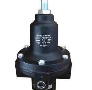 ใหม่ NORGR-EN 20AG-X4G-PJ100 20AG ซีรีส์ตัวควบคุมการไหลสูง, G1/2, ไม่มีเกจวัด - Product Image 1