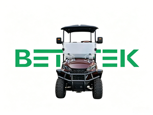Carrito de Golf para 2 Personas, Operación Sencilla, Asientos Espaciosos, Carro de Golf Resistente para Clubes de Golf y Villas, para Carreteras No Públicas - Product Image 6