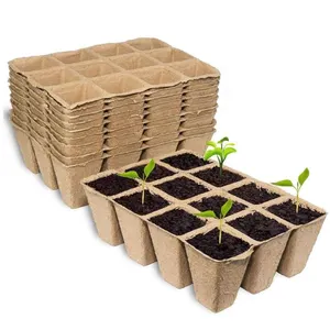 Semente Starter Bandeja Kit Panelas-Germinação Orgânica Biodegradável Mudas Bandejas Pack 60 Células-Peat Pot Eco-Friendly Growing