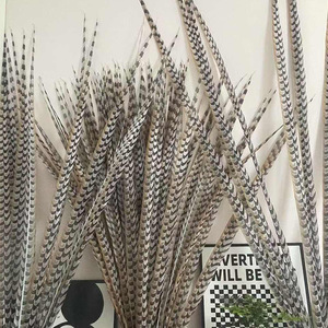 Bán Buôn Lễ Hội Lễ Hội Trang Trí 60Cm 80Cm 100Cm 120Cm 150Cm Giá Rẻ Nhân Tạo Reeves Gà lôi Đuôi Lông - Product Image 5