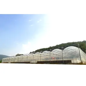 Caldo-dip in acciaio zincato agricoltura pellicola di plastica serra con grandi dimensioni a basso costo