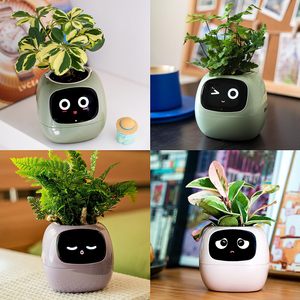 <strong>Smart</strong> Flowerpots, with Artificial Intelligence, Time Temperature Display, and Numerous Expressive Animations Based - Product Image 5
