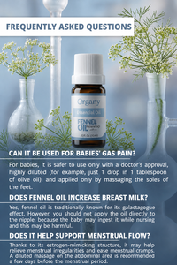 Factory Supply Bulk Turkish Fennel Essential <b>Oil</b> Foeniculum vulgare Steam Distilled for Aromatherapy Cosmetics Skincare <b>Diffuser</b> - Product Image 5