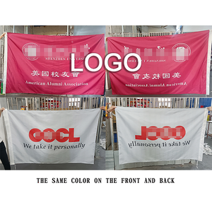 Bandiera 3x5 in Poliestere Resistente per Esterni/Interni con Occhielli per Giardino/Patio/Muro - Team Sports America per Las Vegas Raiders - Product Image 5