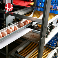 Cage à poules de type H à 4 niveaux avec alimentation et abreuvement automatiques, collecte des œufs, courroie de fumier et abreuvoir à tétine, certifiée CE, pour ferme avicole