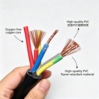 Câble d'alimentation flexible RVV 2-10 conducteurs en cuivre pur toronné, isolation PVC, IP65, 300V/220V, pour usage en bâtiment, marque OEM
