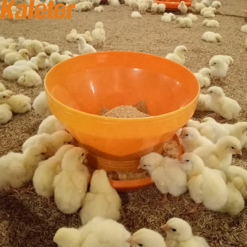 Bulk Chick Feeder Chicken Turbo Feeder Eimer Baby Feed Tray Kunststoff Geflügel zucht Tag alte Food Feeding Bowl