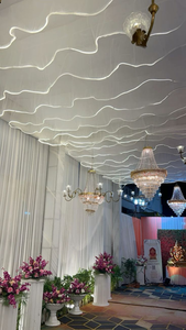 Luxo Personalizado S-Shape LED Strip Lights Pendurado Tecido Cortinas Net Pano Teto Cortinas para Casamento & Event Party Decorações - Product Image 5