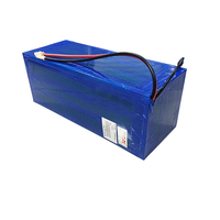 Baterai Lithium Rechargeable LiFePO4 HYL 72V 30Ah 40Ah dengan BMS yang Tangguh, 8000 Siklus untuk Skateboard, Golf Cart & Sepeda Listrik