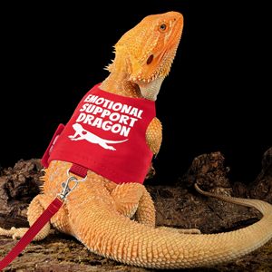 Conjunto de arnés y correa de dragón barbudo a prueba de Escape lagarto reptil arnés de Animal pequeño y correa cuerda <span class=keywords><strong>ropa</strong></span> de dragón barbudo - Product Image 3