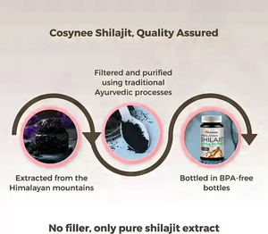 Kapsul Ekstrak Asam Fulvat Shilajit Vegan Non-GMO Label Pribadi OEM 90 Kapsul Suplemen Dewasa Pendukung Energi 2 Kapsul - Product Image 3