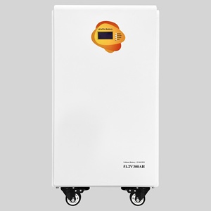 Système de stockage d'énergie mobile domestique 30 kWh, batterie LiFePO4, protection IP65, communication CAN, utilisation solaire photovoltaïque, montage mural - Product Image 2