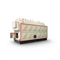 Industriële handgestookte biomassa stoomketel voor handmatige invoer, 4-10 ton, voor grote voedselverwerkings- en fruitdrooglijnen